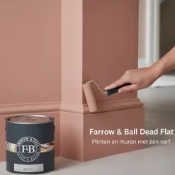 Farrow and Ball Dead Flat