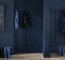 Farrow and Ball Dead Flat